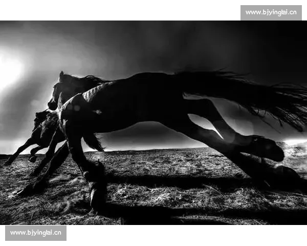 4 岁短途马 “构想所在” 退役，英联邦杯冠军生涯落幕