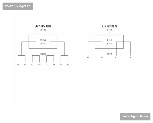 最新篮球赛事赛程一览及时更新各大联赛对阵结果查询
